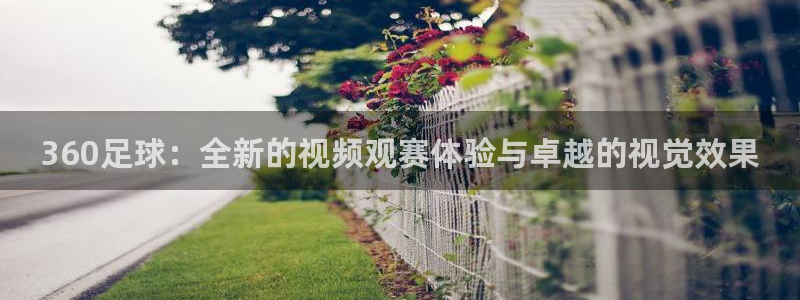 360足球：全新的视频观赛体验与卓越的视觉效果