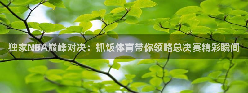 独家NBA巅峰对决：抓饭体育带你领略总决赛精彩瞬间