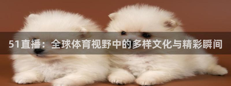 51直播：全球体育视野中的多样文化与精彩瞬间